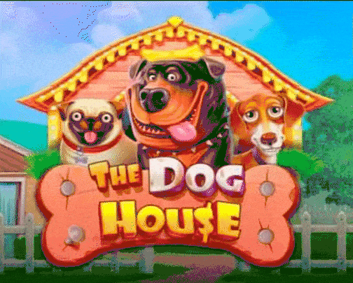 play the dog house in luckycaponeofficial casino